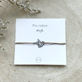 Pro radost - hnědá holubička